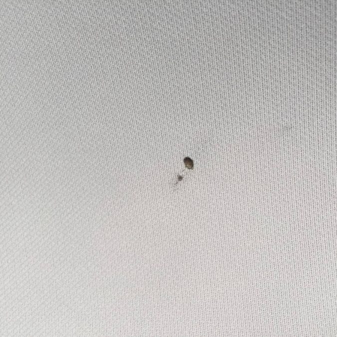 REPARATION SIEGE, MOQUETTE ET GARNITURE PAVILLON Guebwiller 5